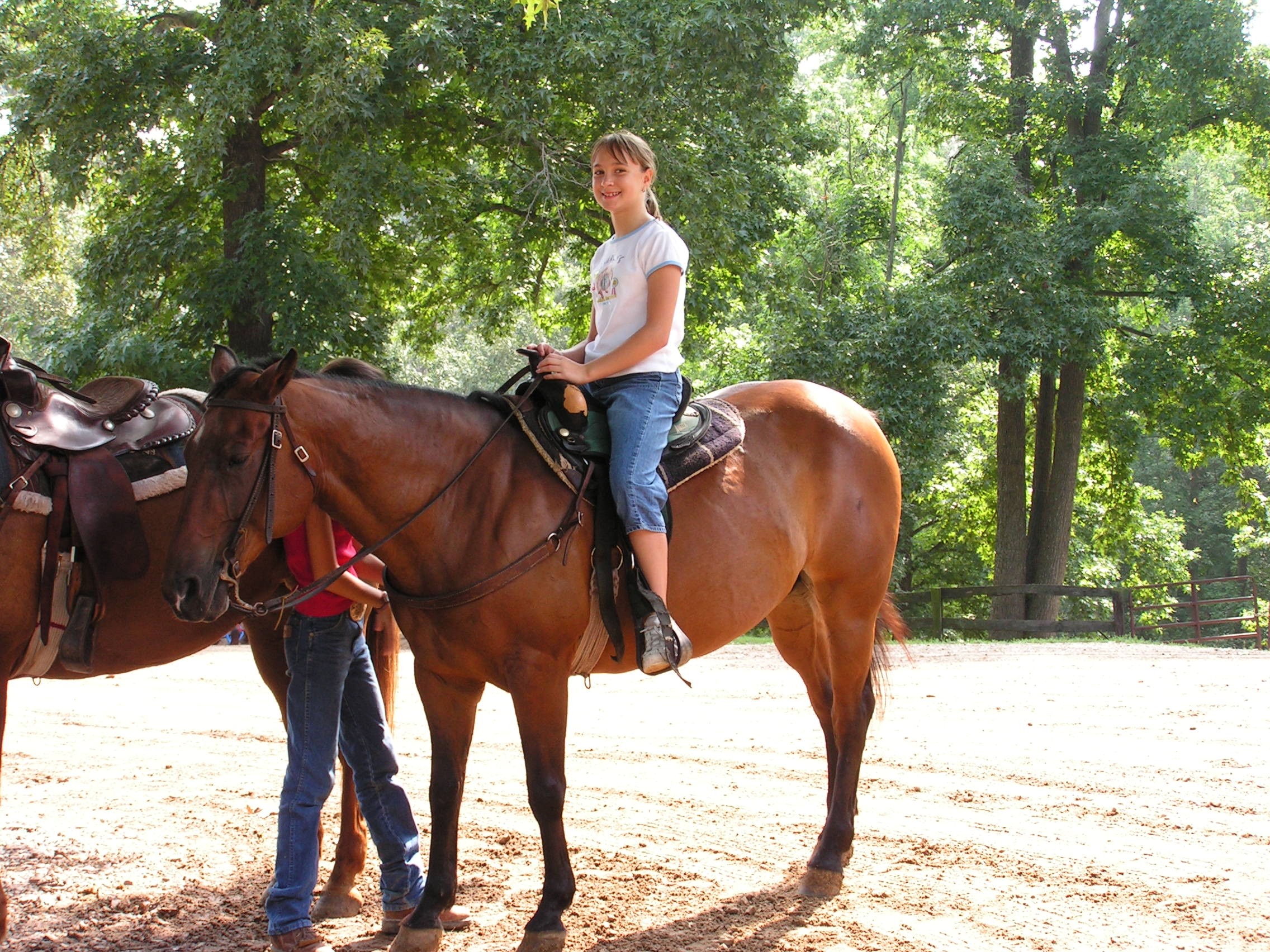 ./2004/J and H Stables/cars 11th horse party 04-0005.JPG